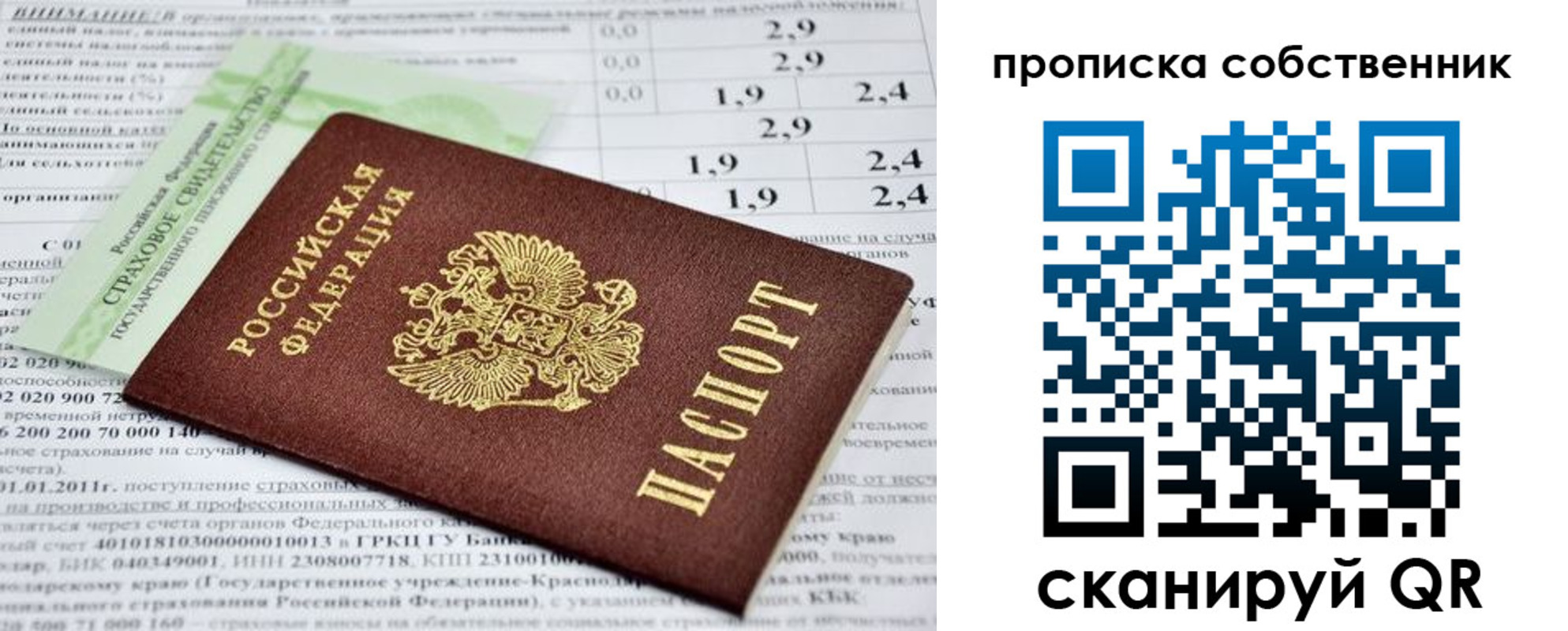 прописка 2025 в Невеле
